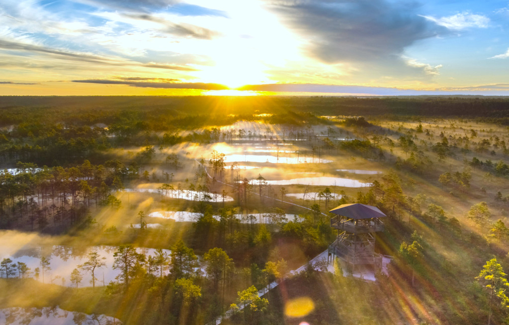 Sonnenaufgang über dem Viru-Hochmoor im Lahemaa-Nationalpark – eines der Naturhighlights der neuen Gebeco-Kleingruppenreise durch Estland