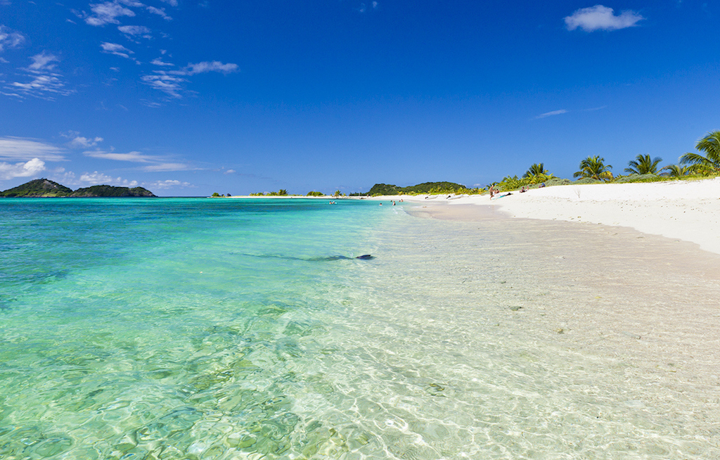 Webinar informiert über Condor und Grenada