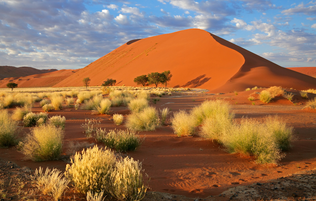 Expedienten lernen Namibia kennen