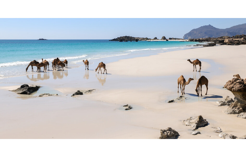 Oman - Vielfalt wie aus 1001 Nacht