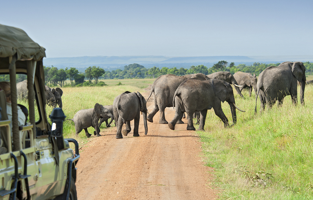 Afrika-Tourismus fast auf Vor-Corona-Niveau