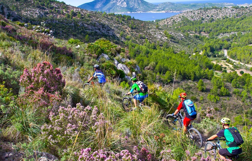Gemeinde Calvià startet neue Kampagne