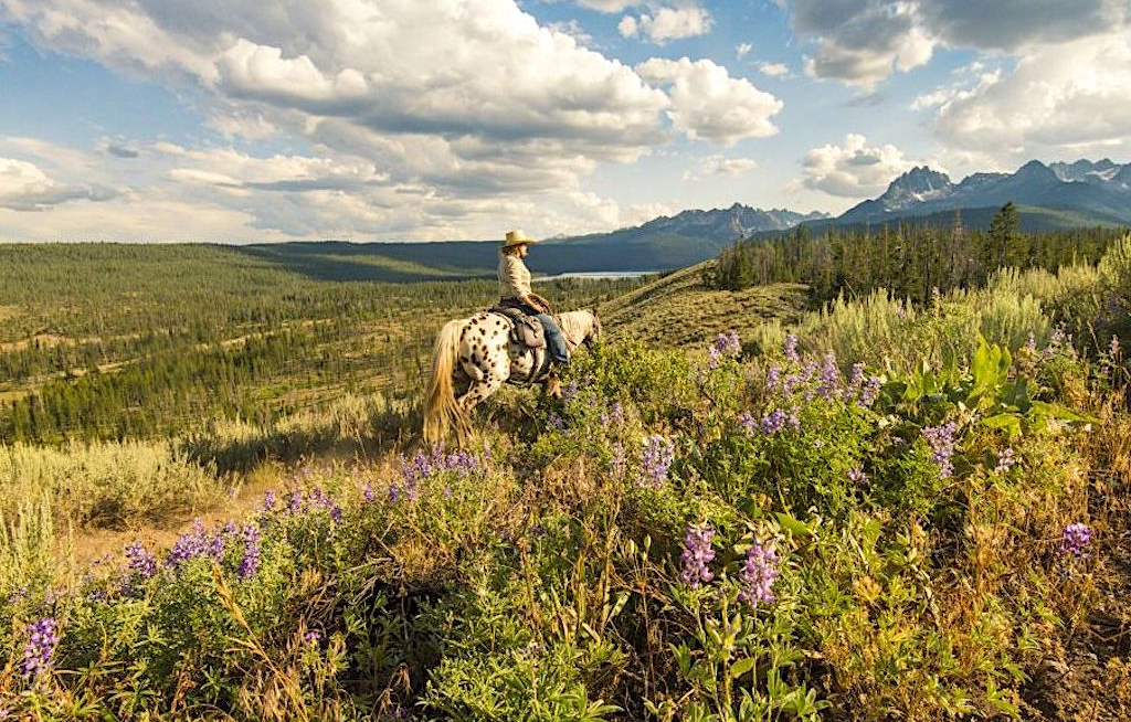 Der neue Great American West Guide ist da