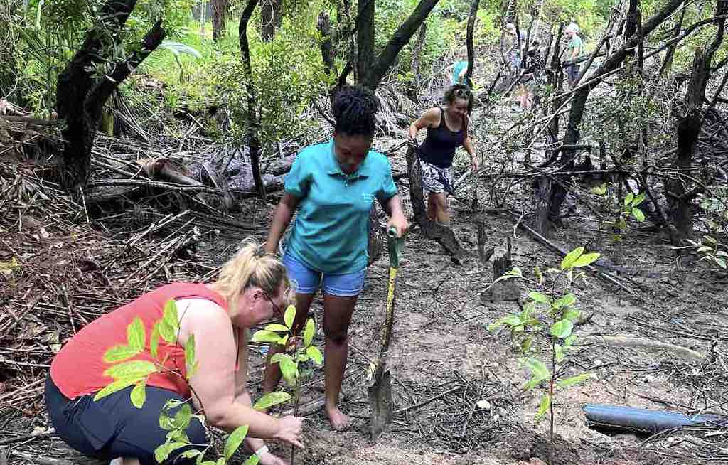 AER Mobile führt ersten Eco-Famtrip durch
