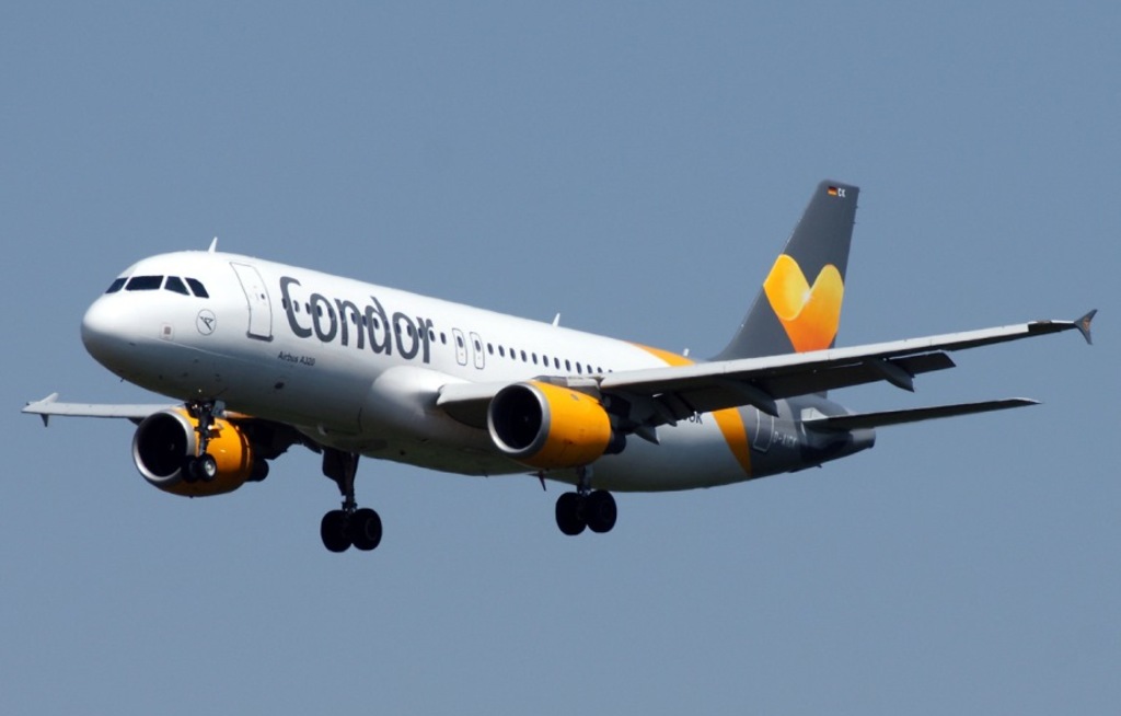 Condor fliegt im Sommer nach Paphos