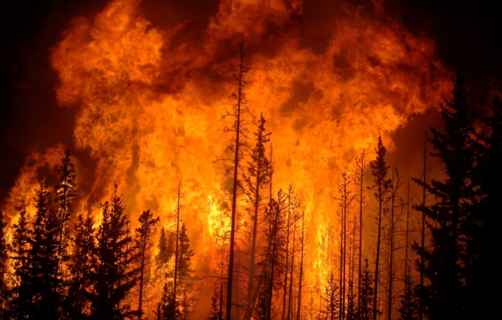 Brand-Infos für Schweden aus erster Hand
