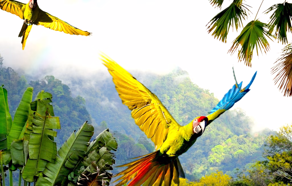 Costa Rica wirbt im November bei einer Roadshow in Düsseldorf und München um Reisebüros. Im Mittelpunkt stehen die vielfältigen Urlaubsmöglichkeiten des Landes, darunter Naturerlebnisse in den Regenwäldern