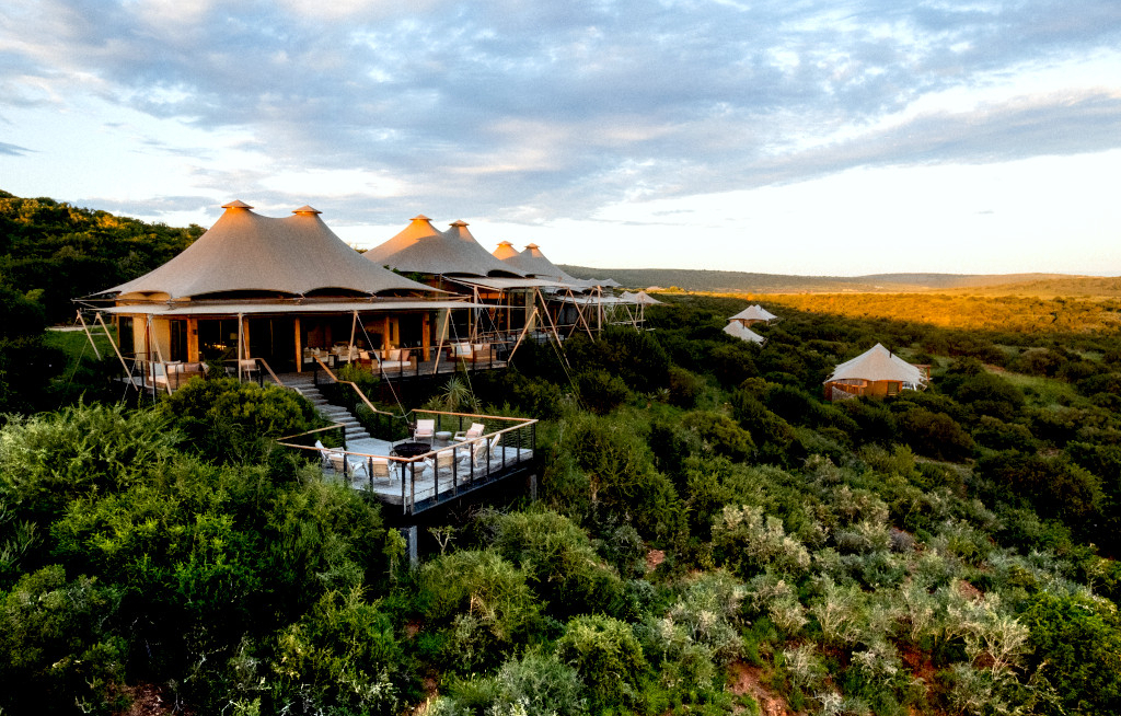 Das Shamwari Private Game Reserve wird Teil der Rare-Finds-Kollektion von Kerzner