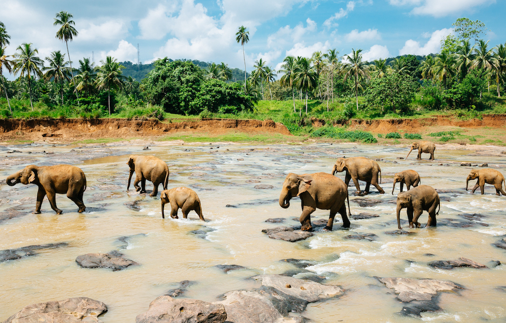 Sun Trips baut das Sri Lanka-Programm aus