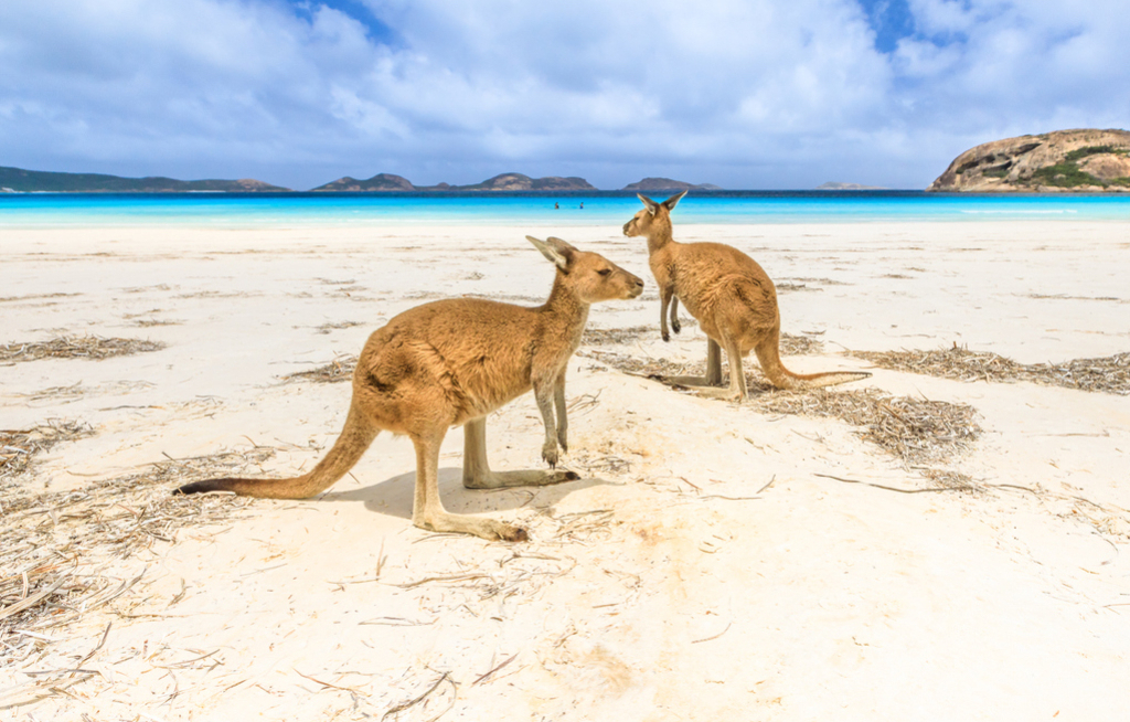 Australia Tours veranstaltet zweitägige Schulung im Allgäu