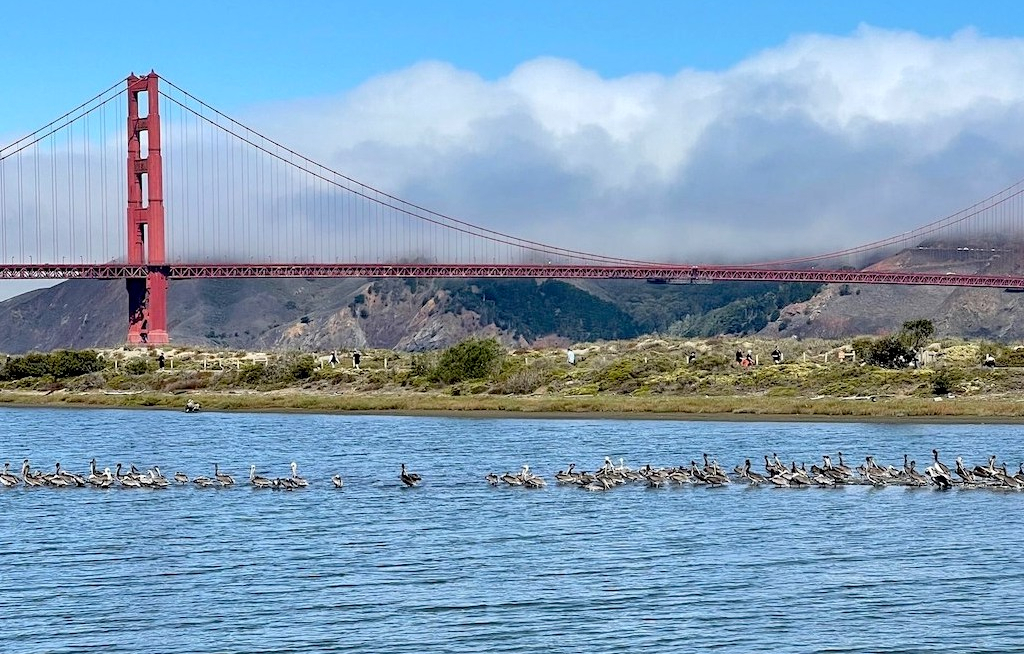 Neuer Stadtrundgang in San Francisco