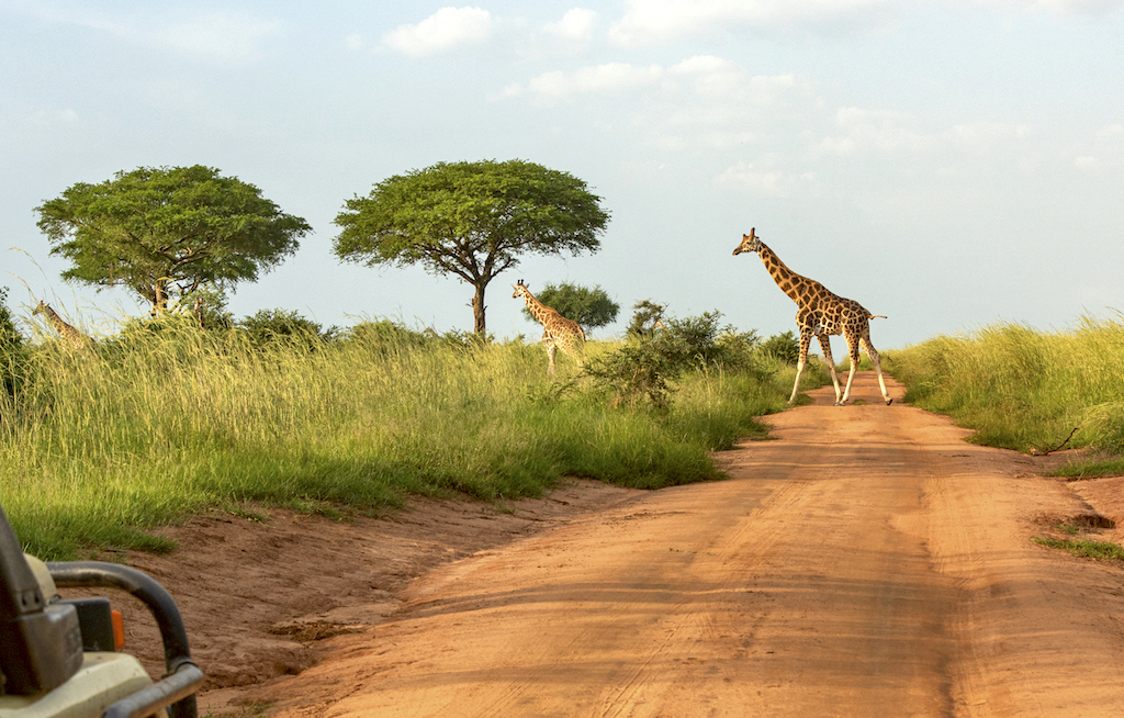 Uganda lockert die Einreisebestimmungen