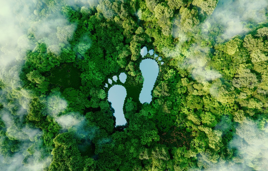 DRV ruft den Climat-Counter ins Leben